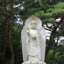 수도사 노사나불괘불탱 | 팔공산 수도사:극락전, 원통전, 삼성각, 산령각, 약사유리광여래불(2012.08.18)