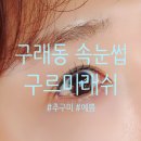 구르미래쉬