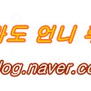 여행사 하나로드 이미지