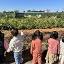 안중유치원 이미지