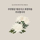 안타까운 항공기사고 마음이 아프네요! 이미지