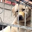 주둥이 - 당진시 | 주둥이