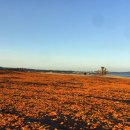 신천목장 이미지