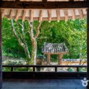 두리조경 | 드라마 옷소매 붉은 끝동 촬영지 &#39;보성 열화정&#39; 전남 보성 가볼만한 곳