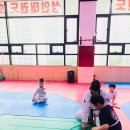용인대다옴태권도장 이미지