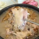 유씨네 | 군산 조촌동 삼계탕 맛집 시청 맛집 유씨네본가누룽지삼계탕 군산본점 후기