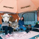 캠프아이엔지 이미지