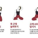 도리도리