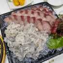 막썰어 세꼬시회 이미지