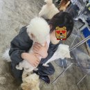 혼코노동전노래연습장 이미지