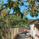 서천 이곡의 묘 이미지