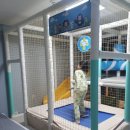 아이리니A펜션 이미지