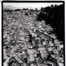 월곡동 산2번지 이미지