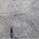 동대만휴게소 이미지