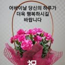 그리울 순규맘 이미지