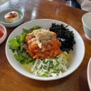 속초댁회국수