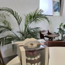 디콤마 | 송파 쌀케이크 카페디콤마 케이크 아이 생일케이크로 딱!