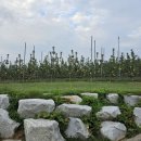 세형농장 이미지