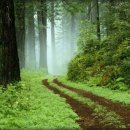 포도향이흐르는마을 이미지