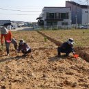 용전농장 이미지