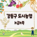 성하푸드유통 | [농식품 체험] 강동구 도시농업