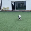 오니비니 | 오니와 비니의 고향 생활 start !!