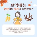 보충한의원 이미지