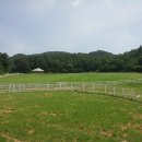 용준목장 이미지