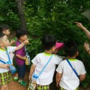 예손어린이집 이미지