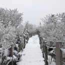 한라산국립공원관음사지구야영장 이미지