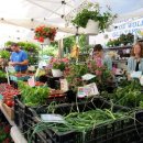 있다마켓 이미지