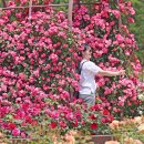 임실치즈테마파크1 이미지