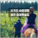 머체왓숲길 | 서귀포 승마체험 제주 머체왓숲길 승마 교육 후기