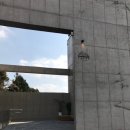 신화소프트 | [서귀포] 신화월드 근처 메타세콰이어 숲 카페 &#39;토은&#39; 후기ㅣ바스크 치즈케이크ㅣ딸기말차라떼