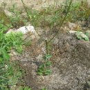 혜민농장 이미지