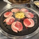 알찬제주돼지정육식당 | 일산 대화동 돼지고기 맛집 돈주소 정육식당 제주흑돼지 특별한판 후기 🐷🔥