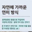 대통령상 3회 수상한세종 라이스 삼광쌀 삼광미 후기