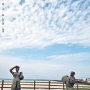 썬샤인협재 이미지