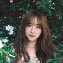 보라미유 카카오 검색결과