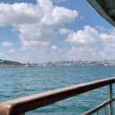 도마태평양약국 이미지