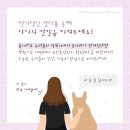 다올동물병원 이미지
