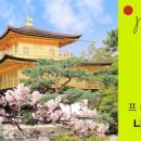 나나관광 이미지