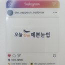 동강대자연 이미지