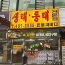 생태동태