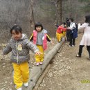 오음초병설유치원 이미지