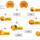 원두막과일 이미지