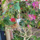 장흥보건진료소 이미지