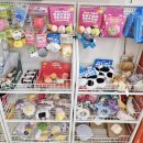 우리집강아지 애견미용 | 부산 해운대애견미용 멍멍부띠끄 우리집 강아지 스파 재방문 후기