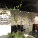 놀다올개 | 범계 더홀릭보드게임카페 쾌적한 보드게임카페 하루온종일 재밌게 놀다온 후기!!!