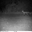 우리항맥외과의원 이미지